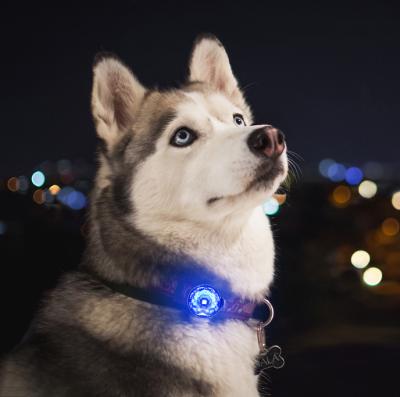 China Lights UMIONE Gems Diamonds Shape Walking At Night LED Rechargeable Waterproof Dog Harness Light Up Pet Collar LED Light For Dog for sale