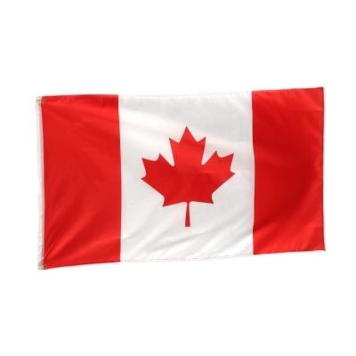 China Eye Catching Wholesale Cheap Polyester Fabric 3*5ft Canada National Flag For Election for sale