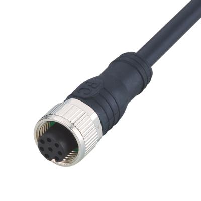 China Automotive / Industrial Automation Customized IP67 M12 Female Waterproof Electrical Cable 8 Pin Circular Connector 12/17 With Molded Cable for sale