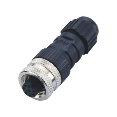 China New Style M12 Field Automotive Female Cable Assembly Cable Solder Waterproof 5 8 Pin Electrical Socket for sale