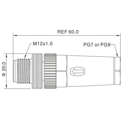 China Automotive M12 Male Cable Connector With Screw Terminal , M12 Field Assembly Straight Male Connector Screw Common , for sale