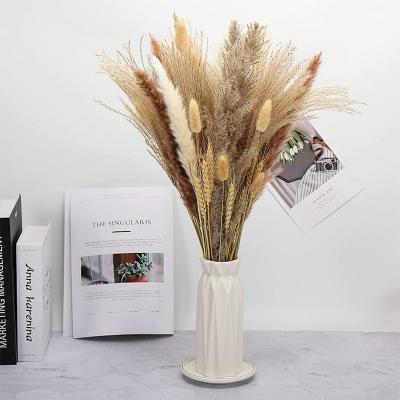 China Colorful Dried Flower Natural Small Pampas Grass for Decoration for sale