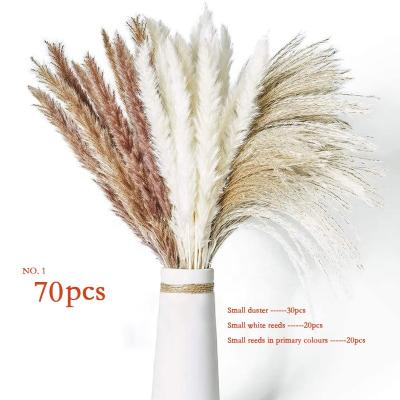 China 100% Purely Dried Flower Plants Natural Real Small Pampas Grass Flower for Decorations for sale