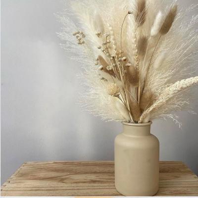 China Dried Bunny Bunnies Tails Flowers Natural  Preserved Dry Flower Bouquet for sale