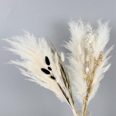 China Wrapped Dried Flower Plants Pampas Grass Decorative Bouquet For Home Decoration for sale