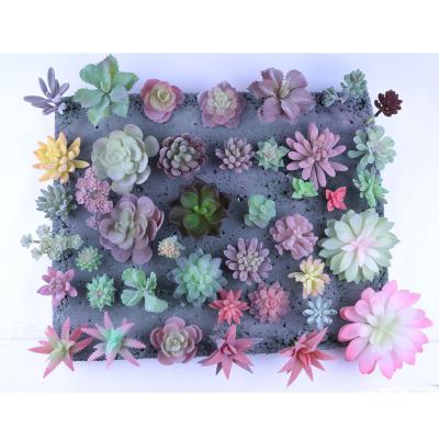 China DIY Mini Fake Simulation Succulent Plant For Garden Decoration for sale