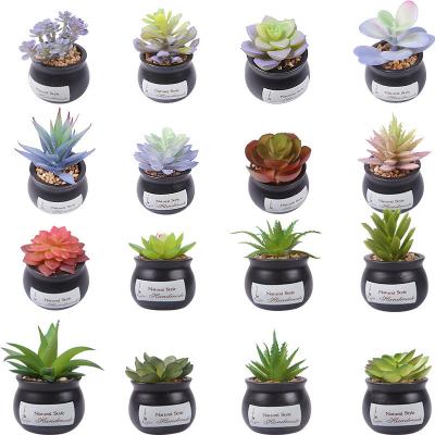 China Decorative Desktop Artificial Plant Artificial Succulent Plants With Pots for sale