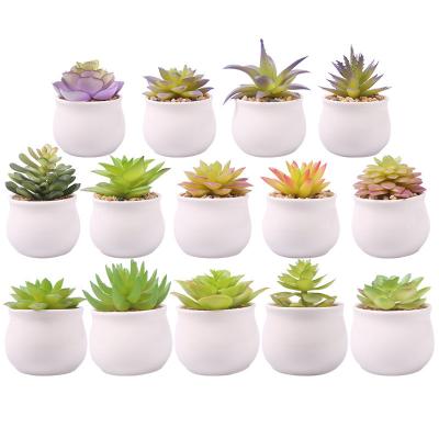 Chine Petites fausses usines succulentes artificielles avec le pot en céramique pour la décoration à vendre