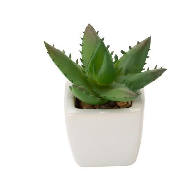 China Small Desktop Artificial Plant Artificial Fake Succulent Plants Potted Premium for sale