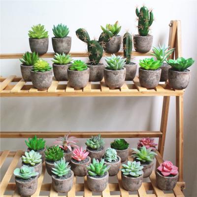 China Cute  Fake Succulent Plants Potted Artificial Plants In Pulp Pot for sale