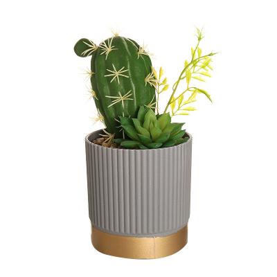 China Artificial Succulent Plant Potted Simulation Real Touch 10cm Mini Cactus With Pot for sale