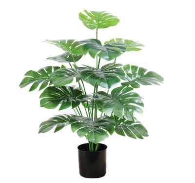 China Todo el árbol plástico artificial de Deliciosa de la hoja de la tortuga de Variegata de la decoración de la estación en venta