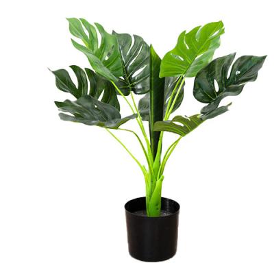 China Árbol grande de la hoja de la tortuga del Brasil de la planta de los bonsais tropicales artificiales de Monstera Deliciosa en venta