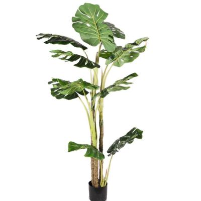 Cina Pianta in vaso di plastica artificiale di monstera deliciosa dell'albero dei bonsai del ODM dell'OEM in vendita