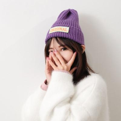 China COMMON Wholesale Custom Knitted Hats Embroidered Logo Warm Plain Winter Hat for sale