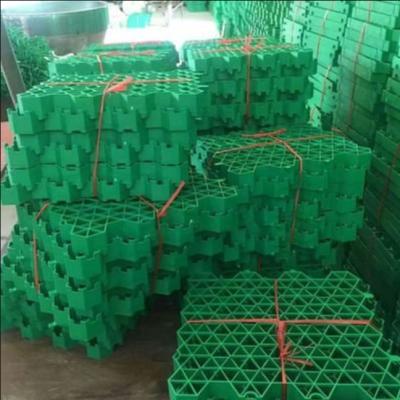 China Hotel Gravel Stabilizer HDPE Plastic Grass Paver for sale