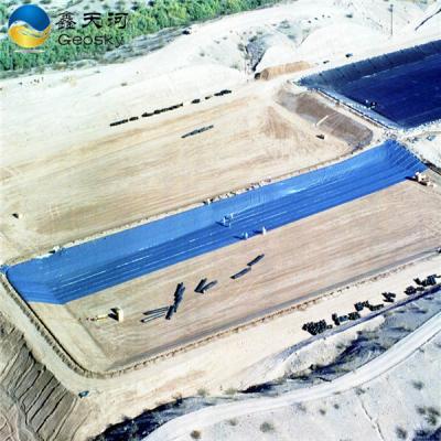 China Modern Soft Anti Seepage Color HDPE Geomembrane Films Sheets Sheets Optional Membranes Shrimp Farming Pool Pond Liners for sale