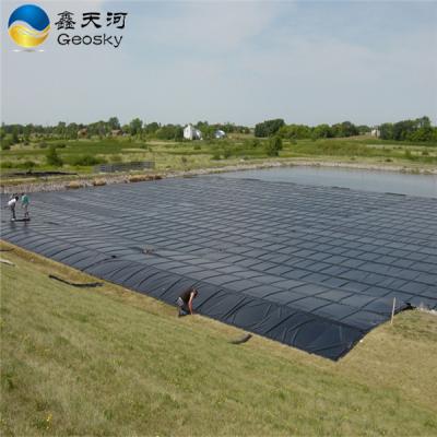 China 1.0mm Modern HDPE Plastic Geomembrane Sheet for Fish Farming Pond and Landfill for sale