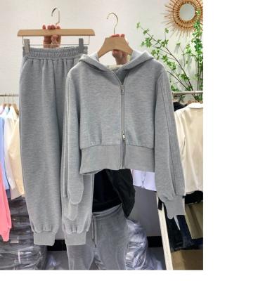 China Breathable Spring Autumn Hoodie Casual Jogger Two Piece Cropped Pants Streetwear Cropped Top Sports Suit Women's Suit for sale