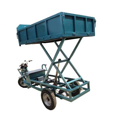 China Cargo Logistics High Quality Special Lift Electric Tricycle Direct Selling By Chinese Factories Wide Use for sale