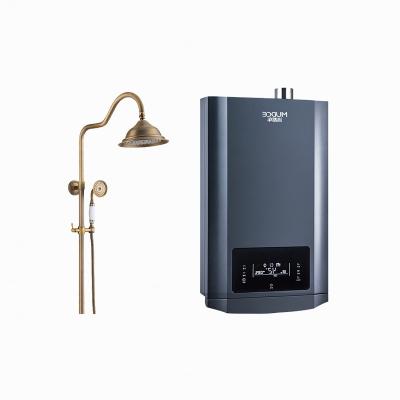 China 3.0GPM 16L overheating protection is easy to install suitable for RV barn outdoor propane gas water heater for sale