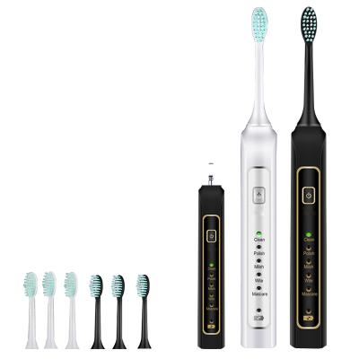 China 2021 popular hotel electric toothbrush for sale