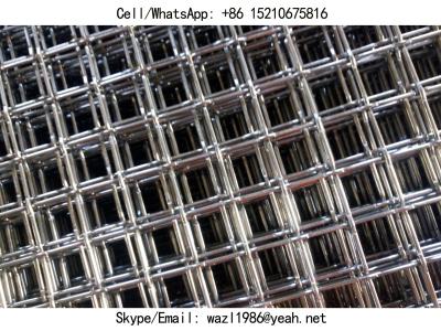 China Food Grade SS304 Crimped Wire Mesh Panels; 3/4