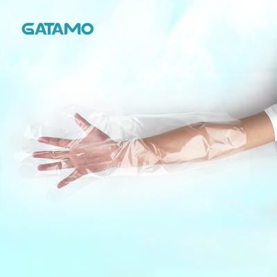 China SN28 Gatamo Plastic Disposable Clear PE Length Veterinary Gloves for sale