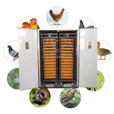 China Automatic egg factory direct sale 10000 chicken egg incubator china HJ-IH9856 egg turning incubators for sale