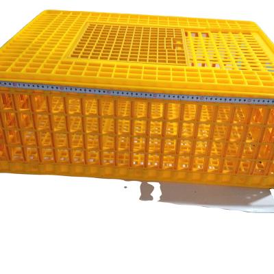 China Long Lasting Durable Chicken Transport Crates HJ-DN018 Poultry Transport Crate for sale