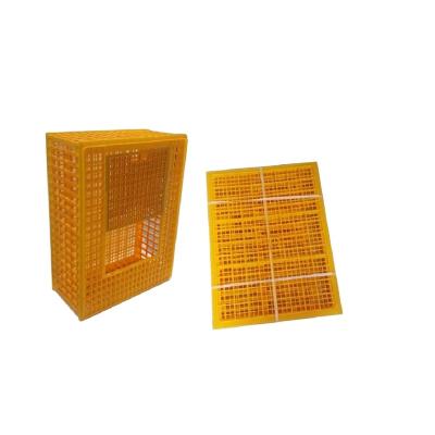 China Durable best quality livestock poultry transport crate for chicks price HJ-DN018 for sale