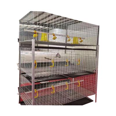 China Farms Poultry Broilers Cage Chicken Broiler Cage Broiler Chicken Cage for sale