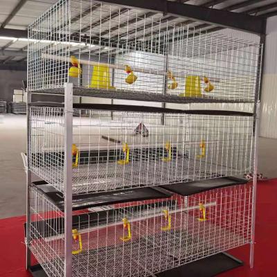 China Durable Capacity 60 Broiler Cage Chicken Cage Galvanized Wire for sale