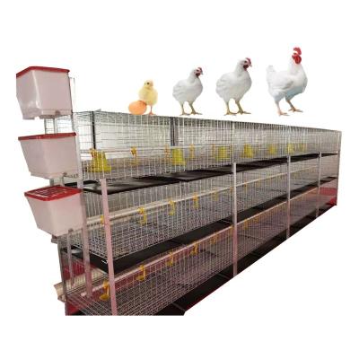 China Farms Chicken Farm Houses Broiler Chicken Cages for Chicks and Adult Broilers for sale