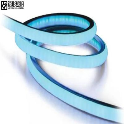 China Slim LANDSCAPE 24V 6*12mm Dome Light Surface Leads Silicone Neon Strip Light for sale