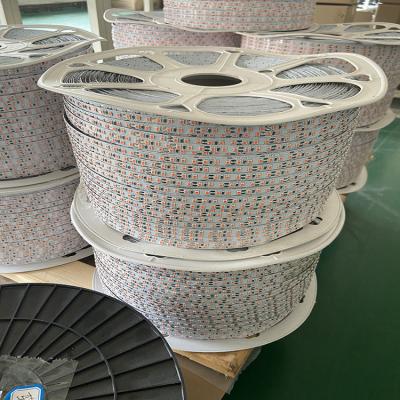 China Warehouse 24V RGB LED SMD2835 Flexible Strip Light for sale