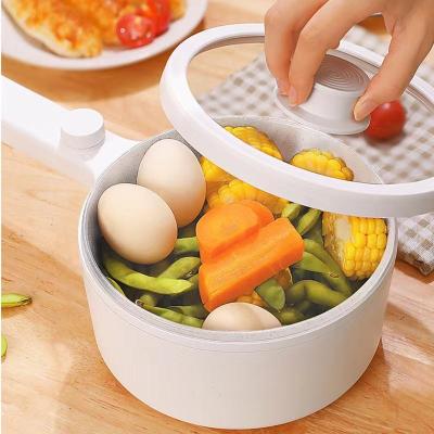 China Household Electric Frying Pan 700W Electric Power Hop Pot With Nonstick Coating Mini Hot Pot For Kitchen for sale