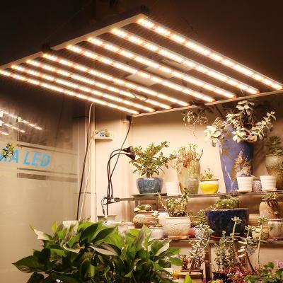 China Seed Starting Led Plant Foldable Light Samsung LM281B IP65Grade 0-10V Dimmable For Indoor Greenhouse Plants Full Spectrum 1000W Led To Grow Light for sale