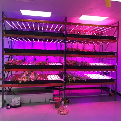 China Seed Starting Growing Fruit T8 Tube Full Spectrum 12W 18W 24W LED Plant Growing Fruit Grow Light Spectrum 12W 18W 24W LED for sale