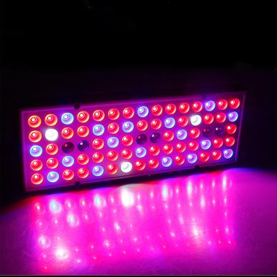 China Seed Starting Full Spectrum with IR and UV LED Plant Lights for Indoor Plants Micro Greens Succulents Flowers 25W LED Grow Light for sale