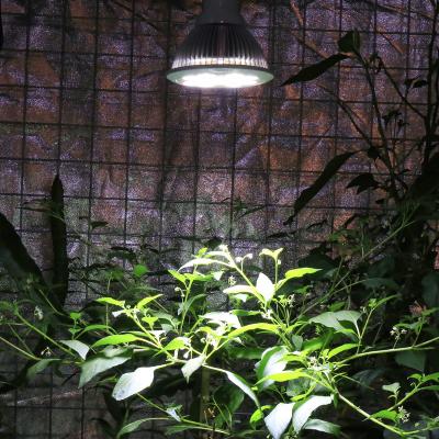 China Seed Seed Planting 36W LED Plant Bulb Full Spectrum E26/E27 Plant Sunlike Grow Lamp For Hydroponics Garden Greenhouse Indoor Plants LED Bulb for sale