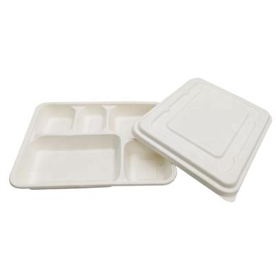 China Biodegradable Food Box White Color Food Grade Sugarcane Pulp Material Non Pollution for sale