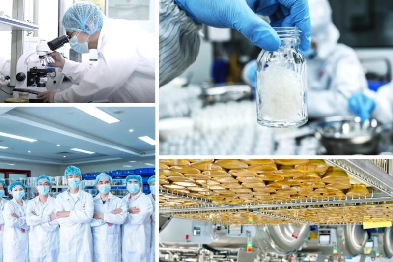 Proveedor verificado de China - ZeaGrove (Guangzhou) Health industry Co., Ltd