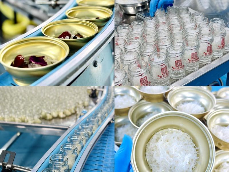 Proveedor verificado de China - ZeaGrove (Guangzhou) Health industry Co., Ltd