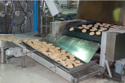 Chine Chaîne de production de pain pita de Full Auto largeur de ceinture de 850 millimètres avec le système de recouvrement de la pâte à vendre