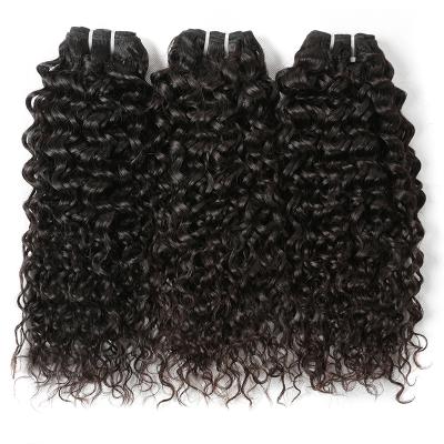 China hot sale water wave brazilian remy hair accept paypal and virgin types brazilian hair free sample ,good quality brazilian virgin hair for sale