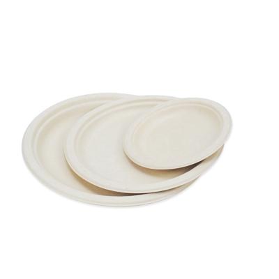 China Disposable Degradable Pulp Plate Bowl Lunch Box 9 Inch Sugarcane Paper Plate for sale