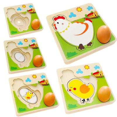 China 3D Chicken Growth Process Wooden Multi Layer Puzzle for sale