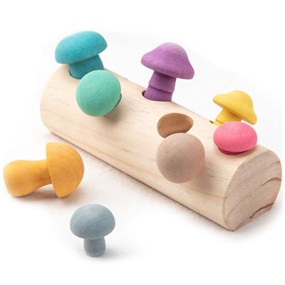 China Kids Wooden Mushroom Picking Toys Rainbow Blocks DIY 3D for sale