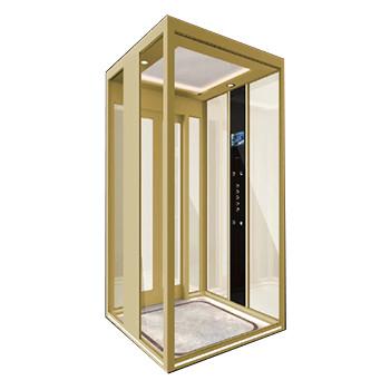 China Forced Drive Type Home Elevator 1500mm Pit Depth Flexible Shaft Layout Villa Lift Optional for sale